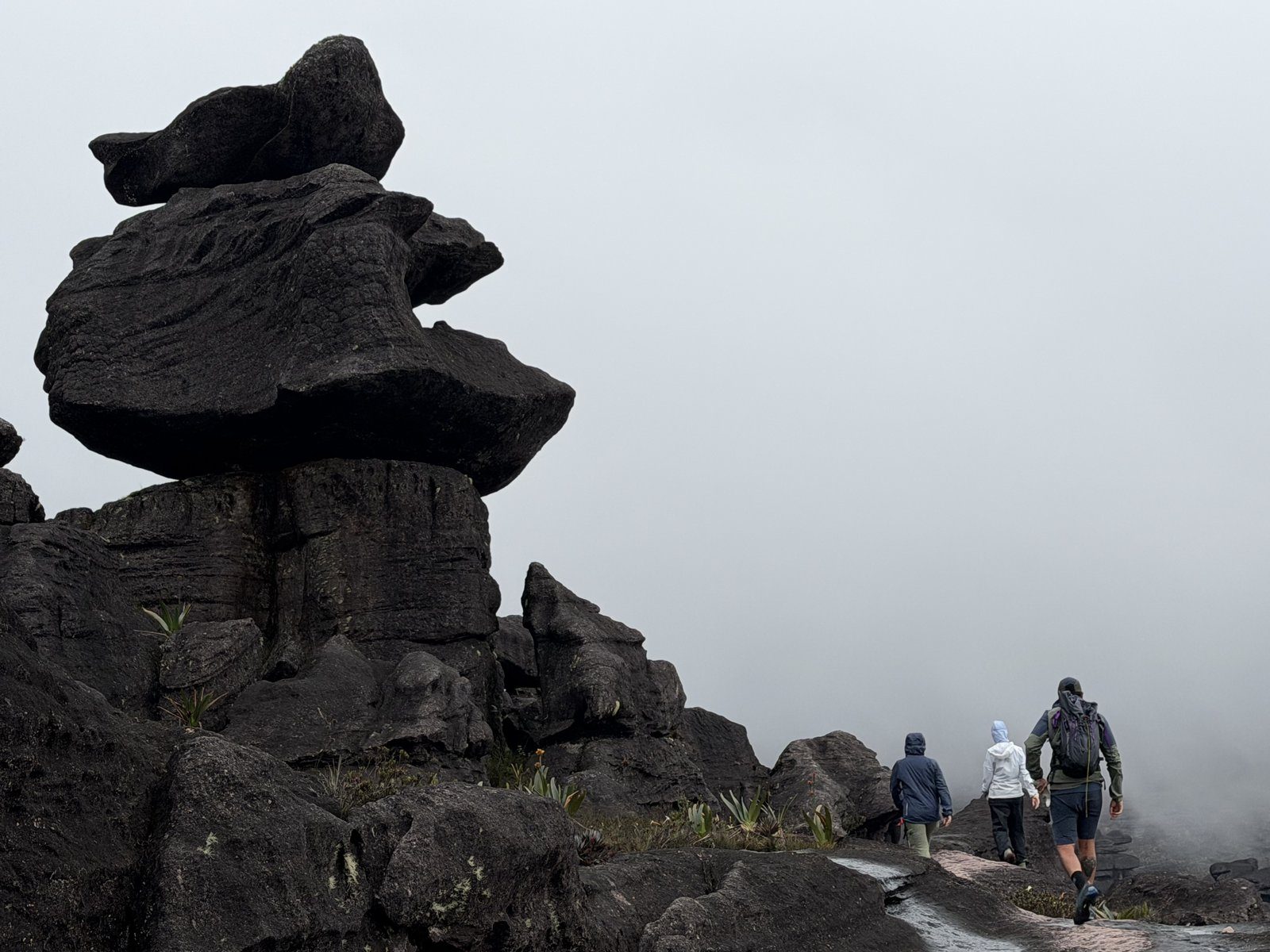 Formaciones rocosas en la cima del Roraima