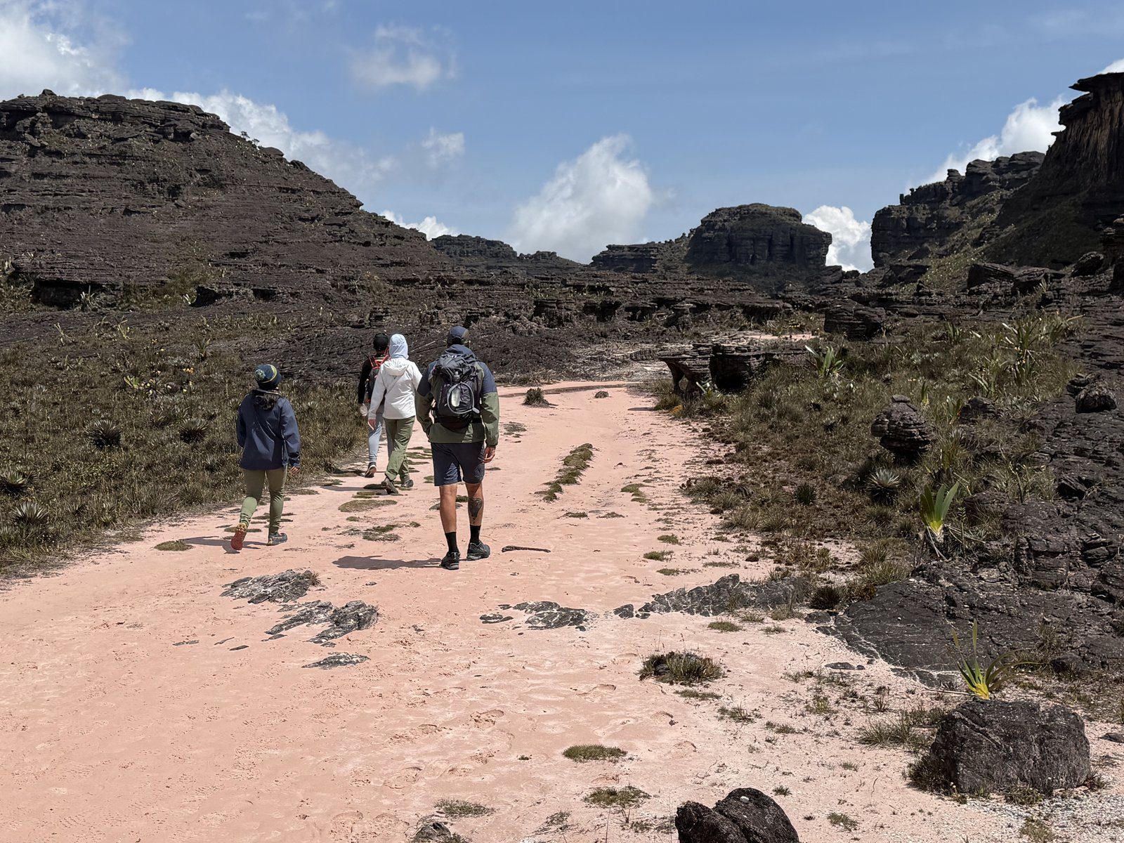Trekking por la sabana rumbo al Roraima